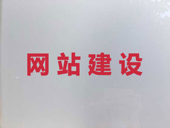 儋州专业网站设计